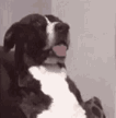 ms-vof85o.gif