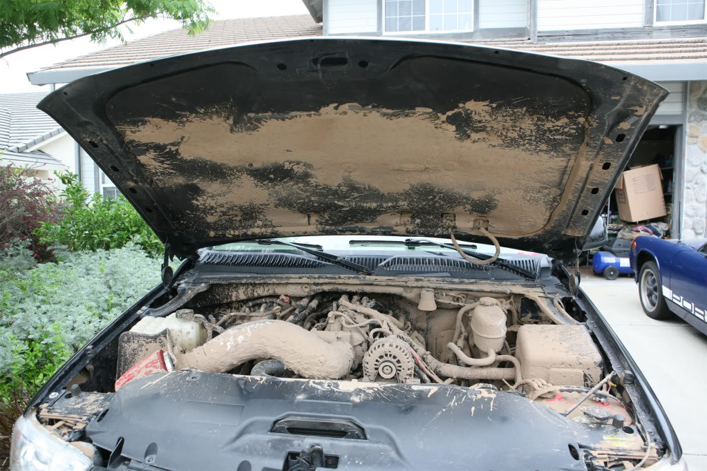 muddy.jpg