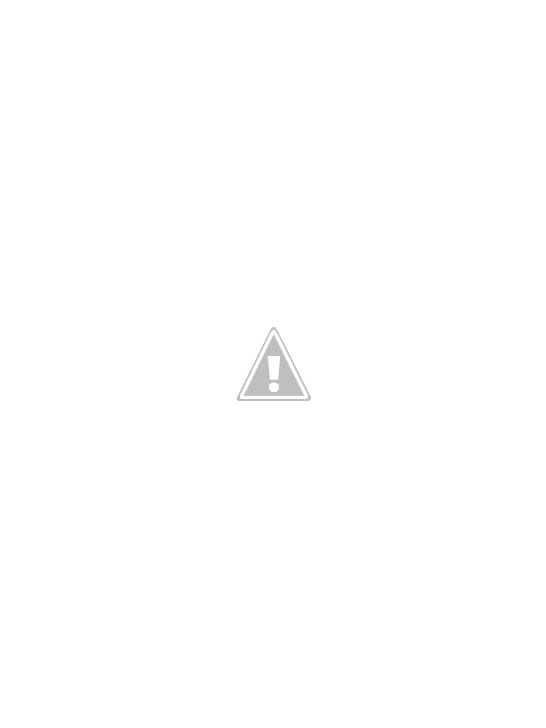 NMxqiChmrEIfMMNbp3BrxJUqxx-QST9HDcmPA=w546-h728-no.png