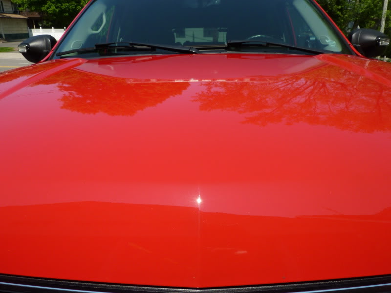 P1000530.jpg