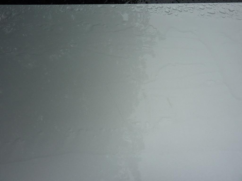 P1000934.jpg