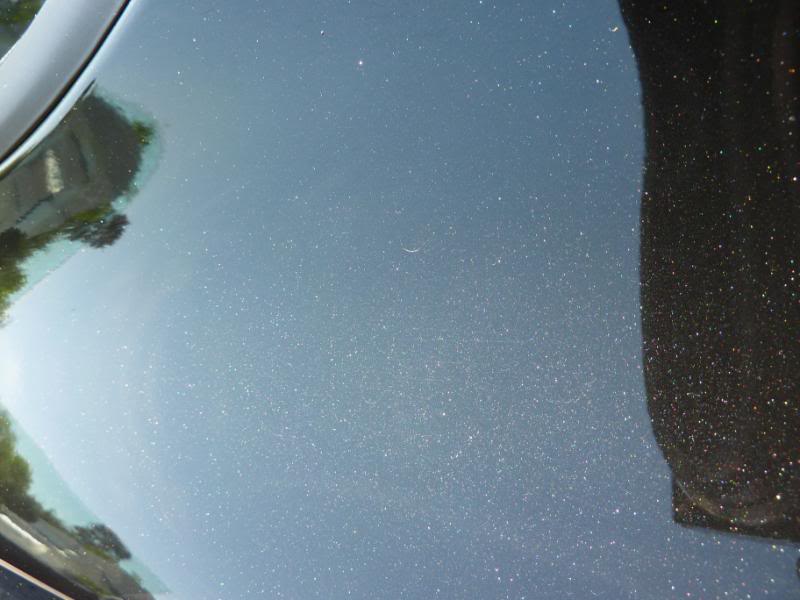 P1010041.jpg
