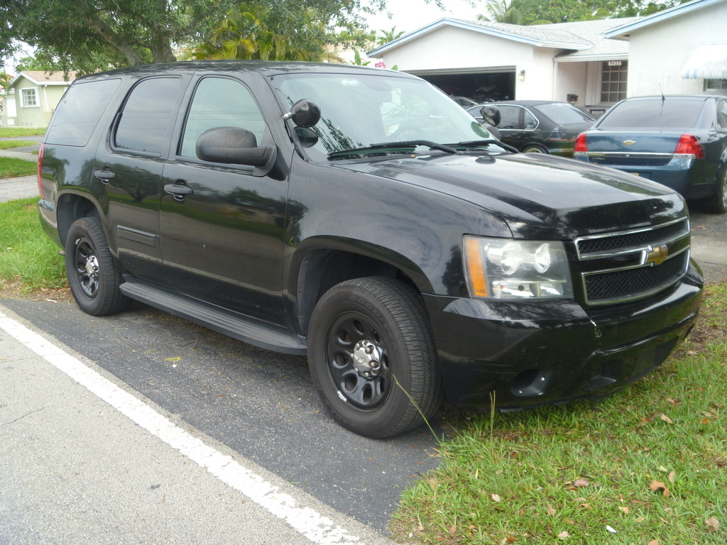 P1070730_zpsmnc7mtc8.jpg