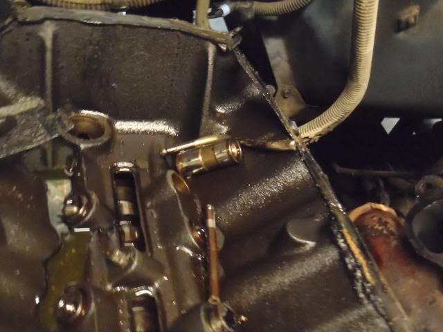 P5100012.jpg