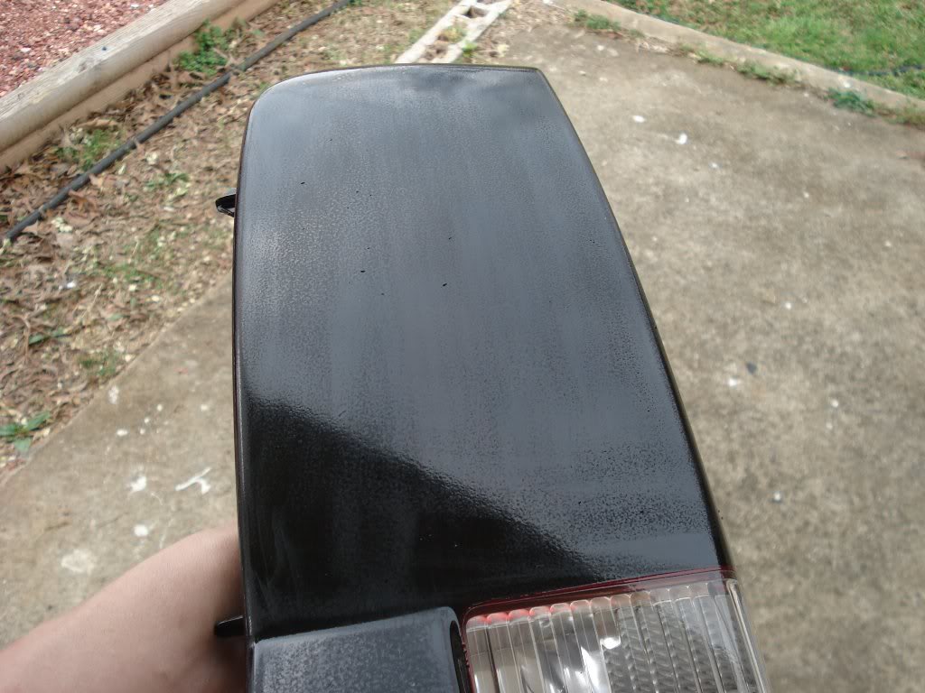 pic6.jpg
