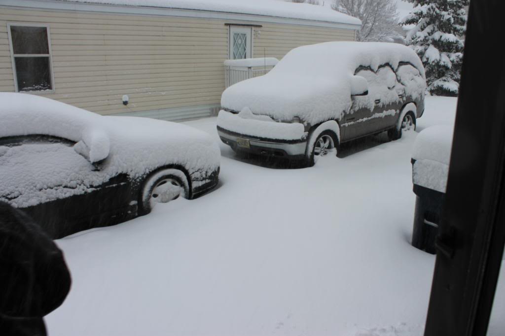 pics045.jpg