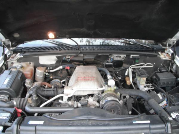 picture.jpg