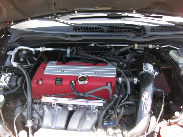 Picture006.jpg