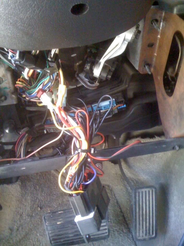 Picture007.jpg