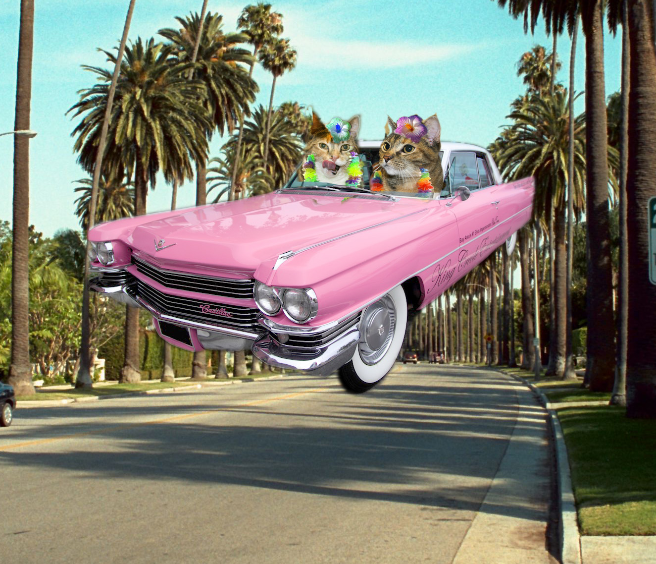 pinkcad 3qtrs LEIS2aCU.jpg