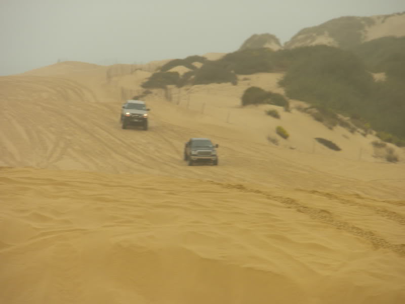 Pismo9-20-09073.jpg