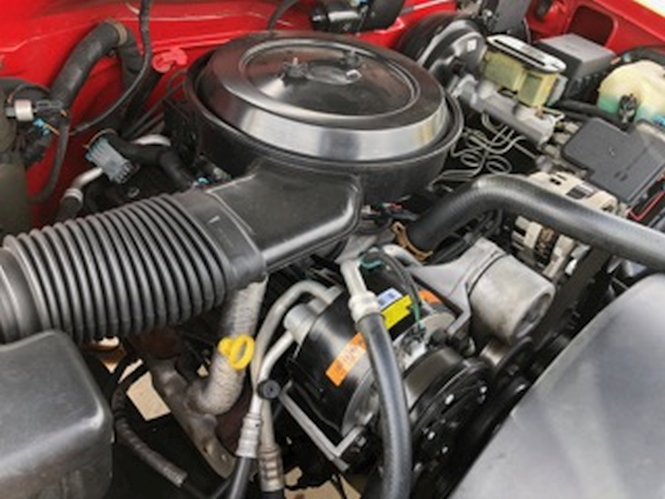 Red 10.jpg