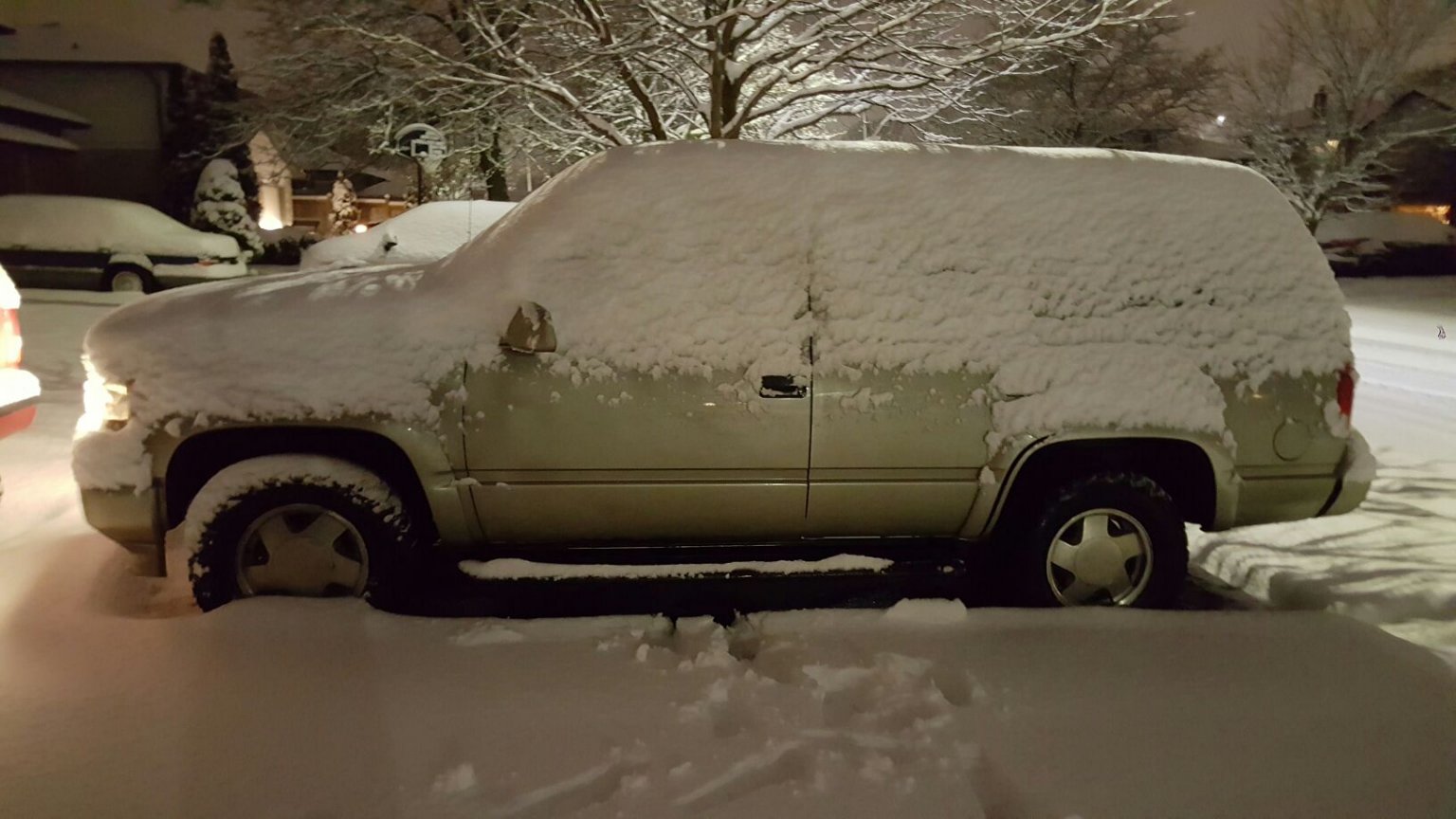 Resized_20161212_064604.jpeg