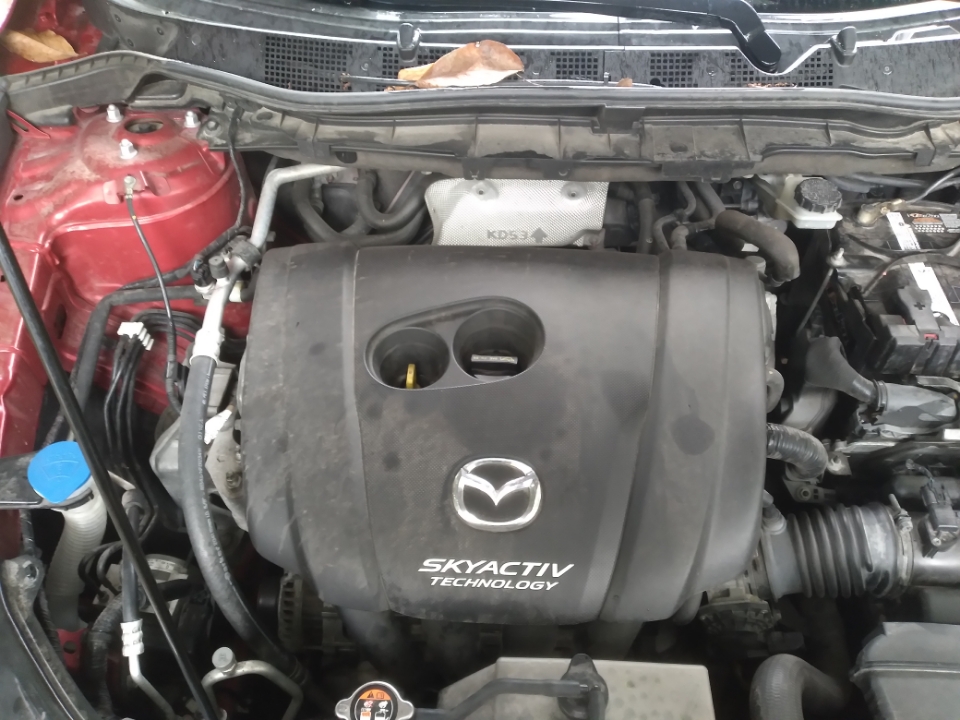 Resized_20231005_120258.jpeg