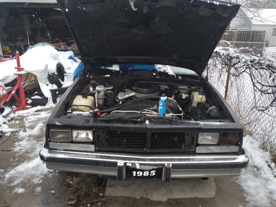 Resized_20240111_091721.jpeg
