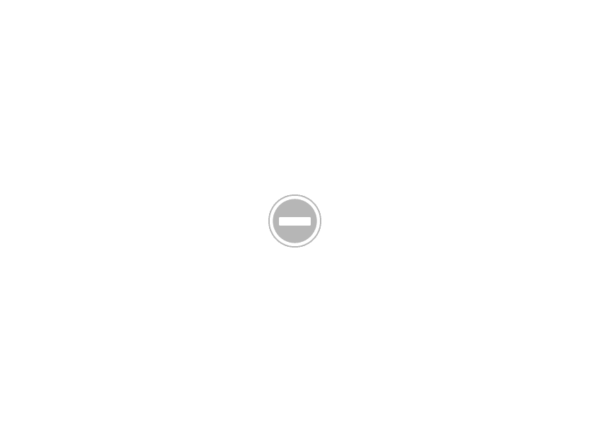 rom8lbiRwuM53pnNVrNUBG8M3A=w834-h625-no?authuser=0.png