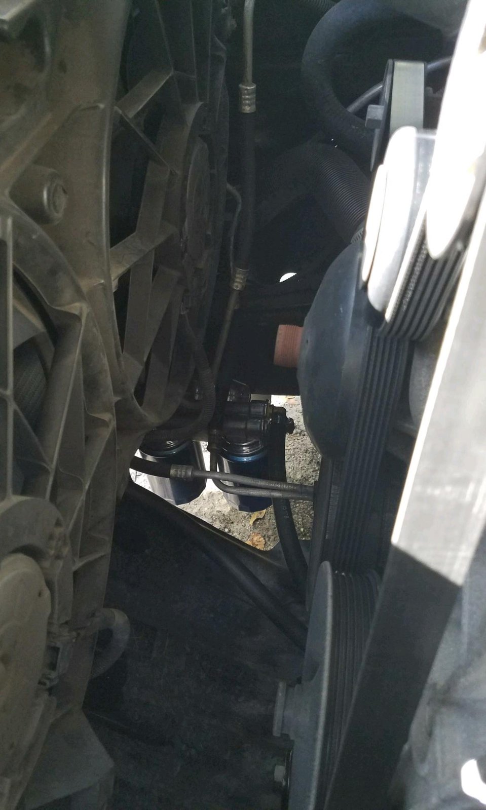 rps20180803_100102_351.jpg