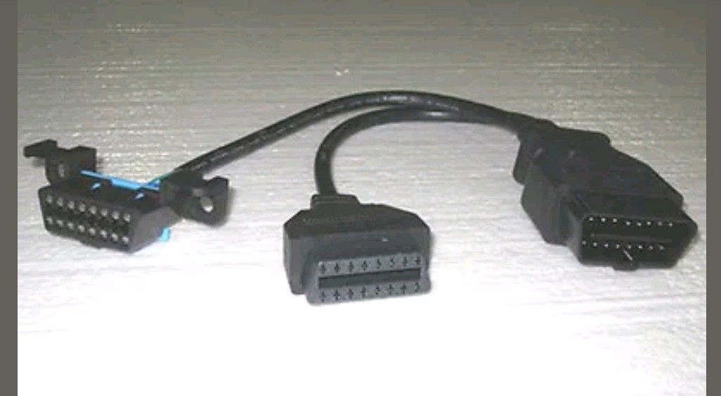 rps20200923_144022_115.jpg