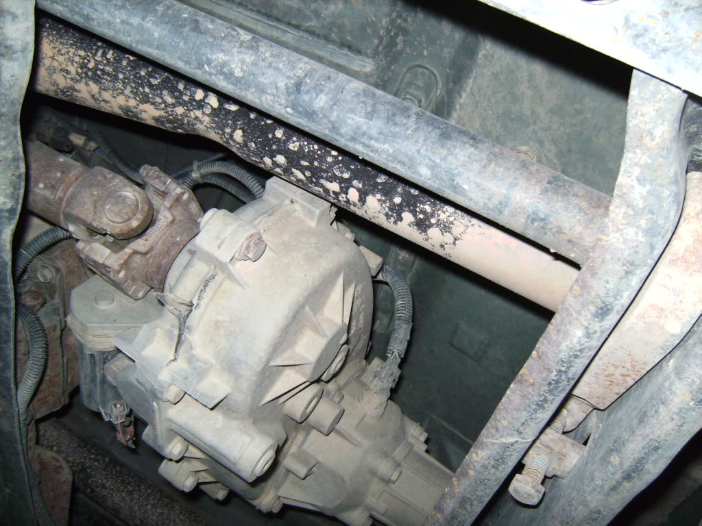SANY0413.jpg