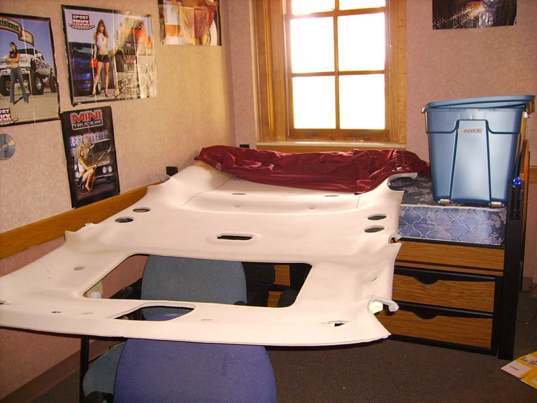 SANY0561.jpg