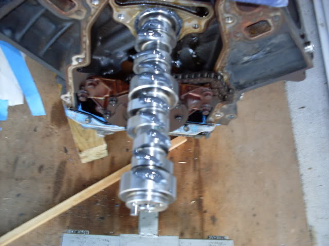 SDC10439.jpg