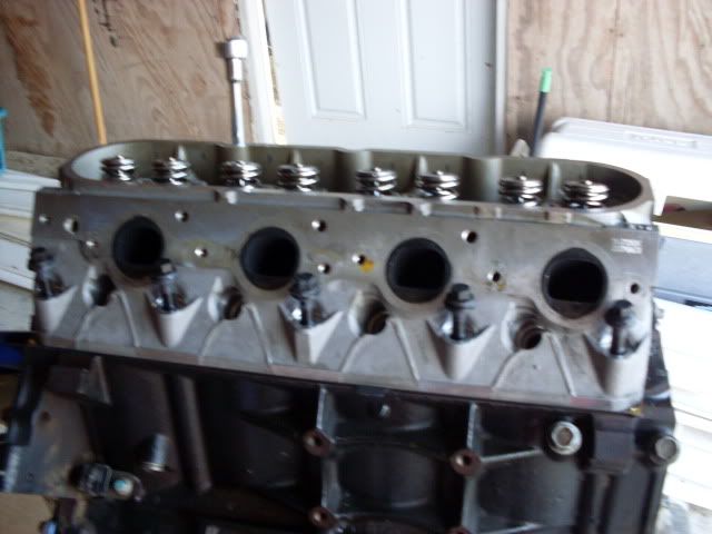 SDC10456.jpg