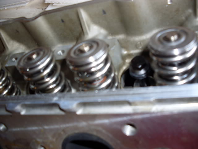 SDC10457.jpg
