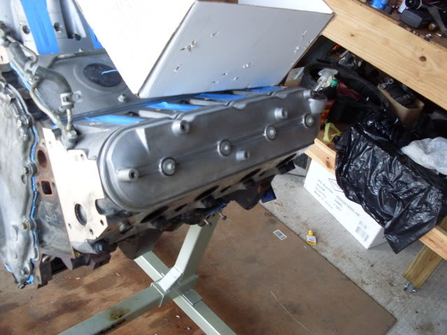 SDC10459.jpg