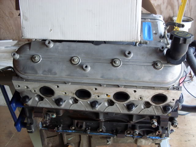 SDC10460.jpg