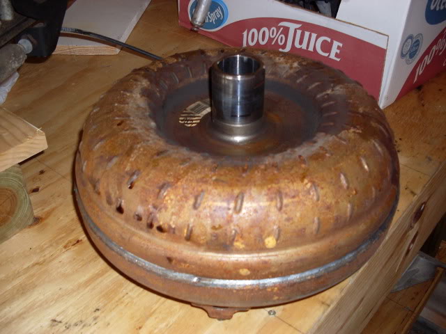 SDC10464.jpg