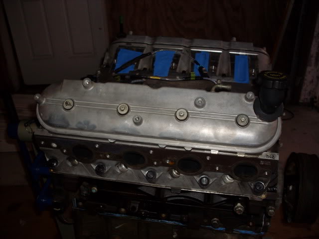 SDC10470.jpg