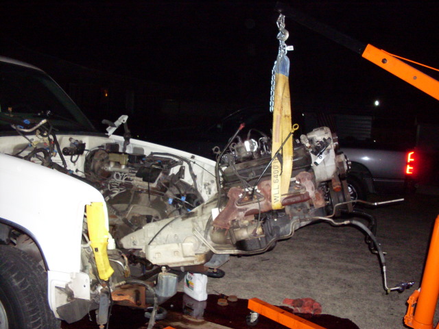 SDC10515.jpg