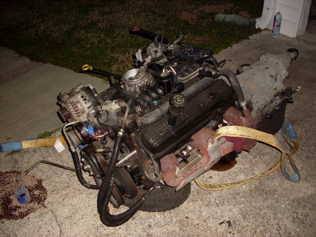 SDC10519.jpg