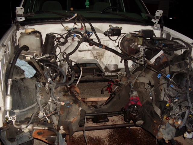 SDC10520.jpg