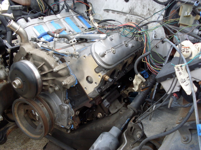 SDC10522.jpg