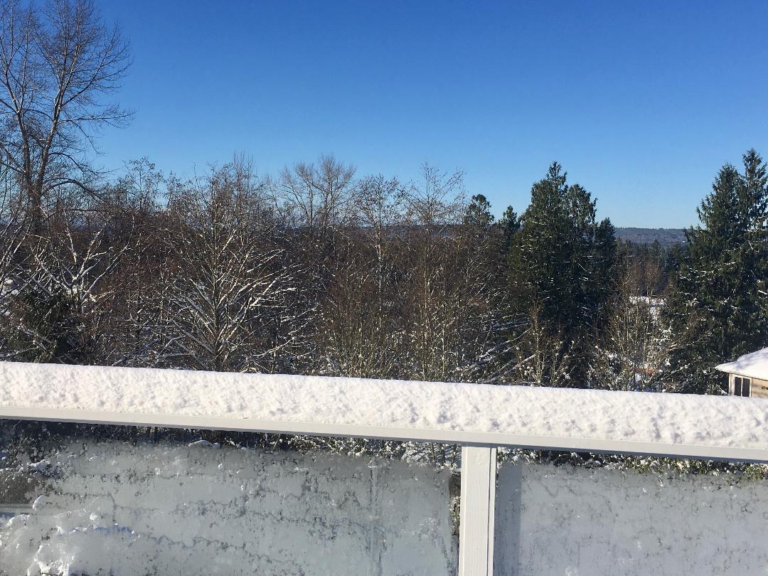 snow2.jpg
