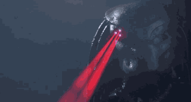 tenor.gif