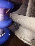 th_springcloseness_zps23122d8f.jpg