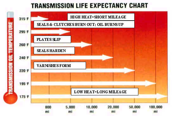 Trans Life Expectancy.jpg
