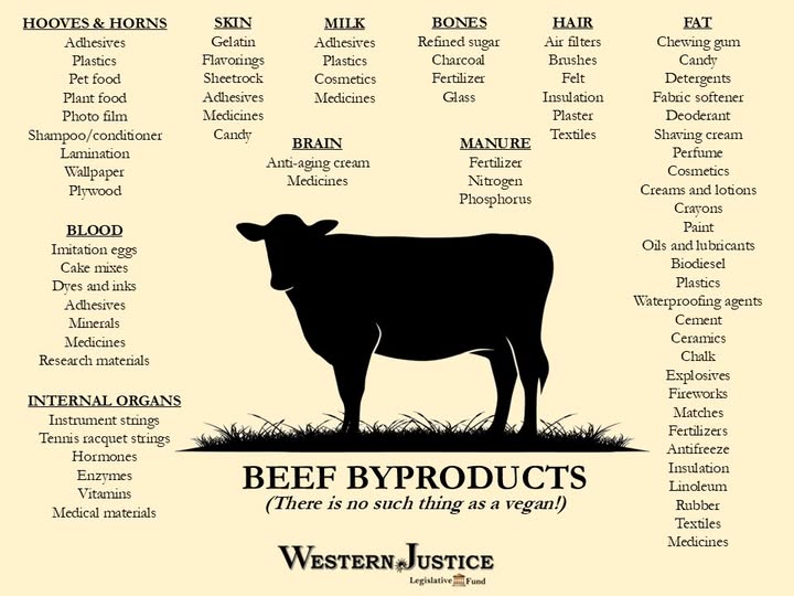 tyfvtf No Vegans Chart.jpg