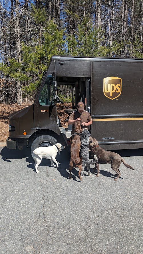 UPS Truck.jpg