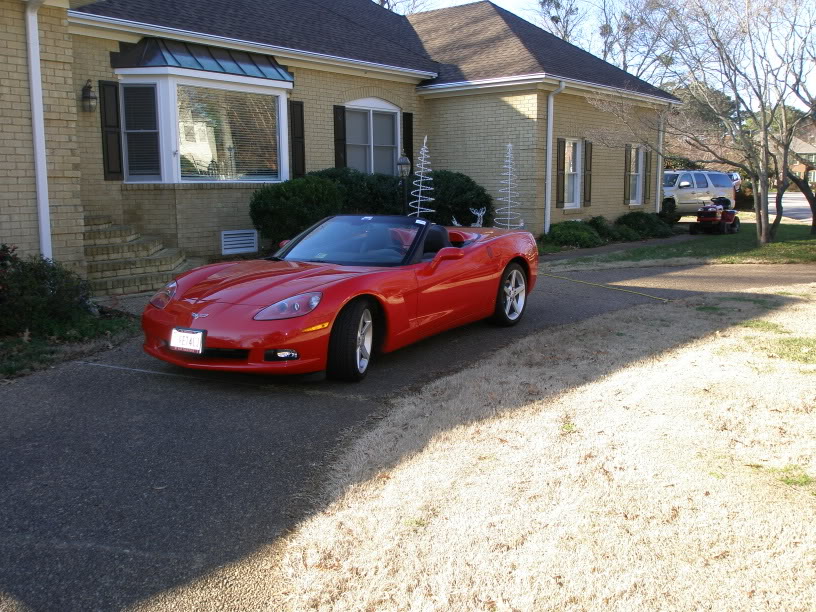 vette.jpg