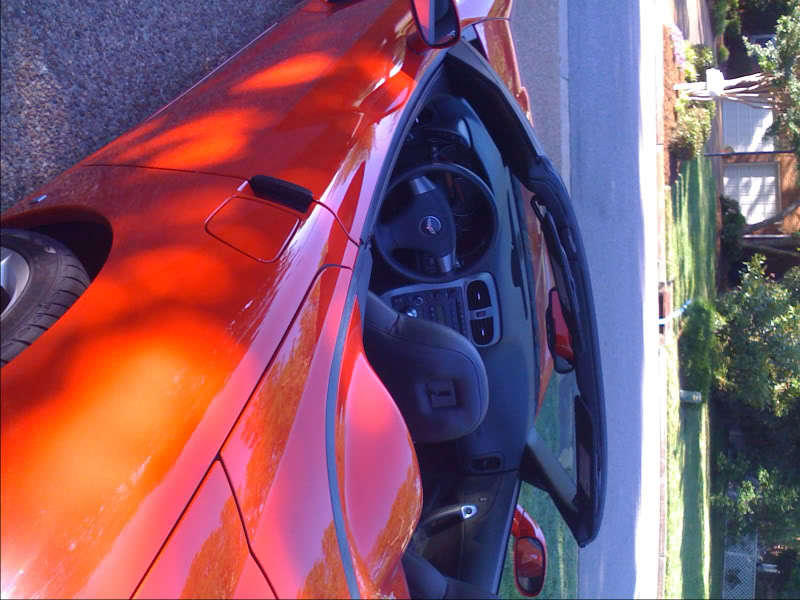 vette2.jpg