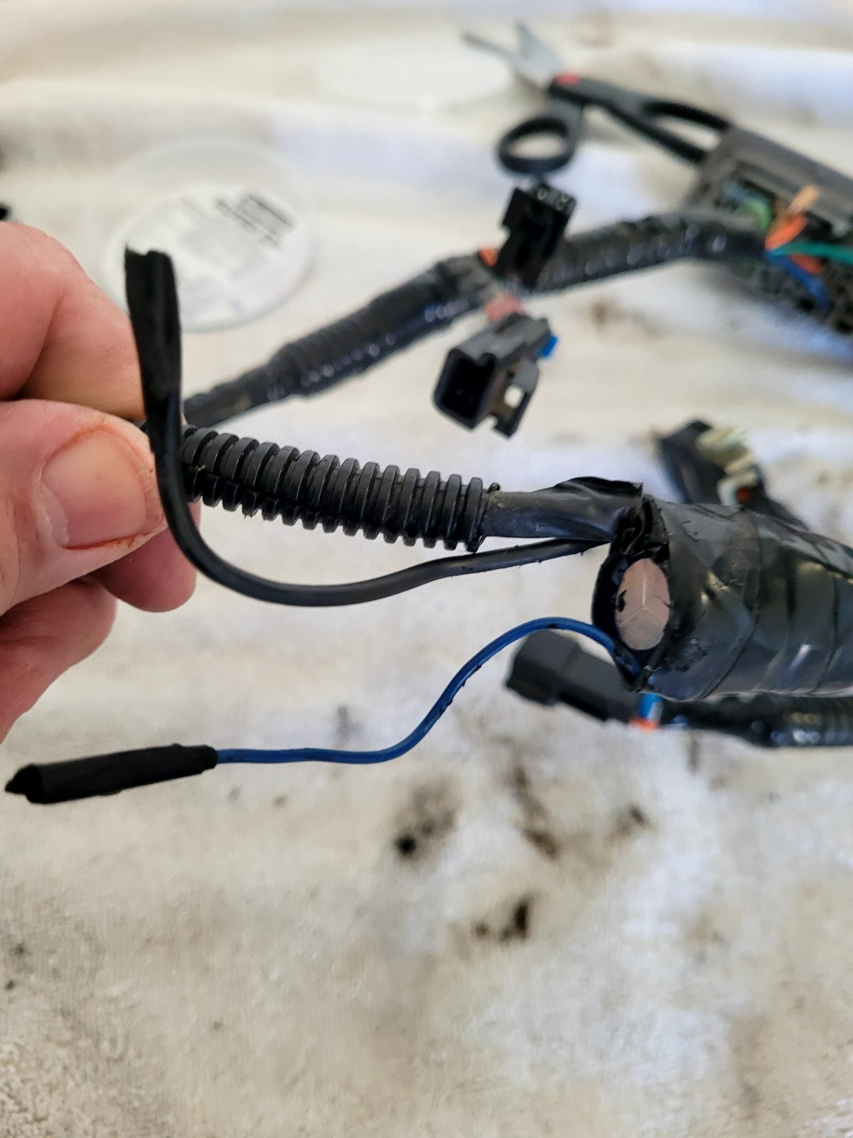 wire.jpg