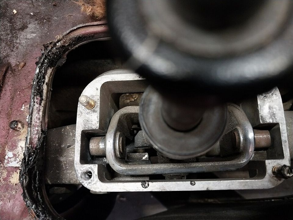 zf1.jpg