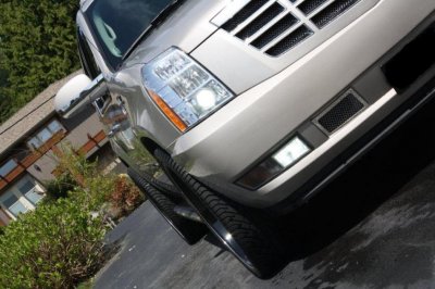 IMG_6784pl.jpg