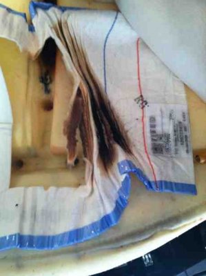 ImageUploadedByTapatalk1359026990.024927.jpg ImageUploadedByTapatalk1359026990.024927.jpg