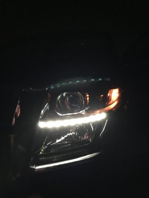 IMG_1654.JPG IMG_1654.JPG