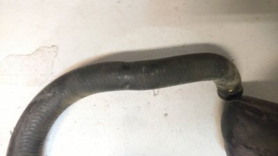 IMG_20171203_235952338.jpg