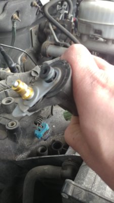 20180410_171848.jpg